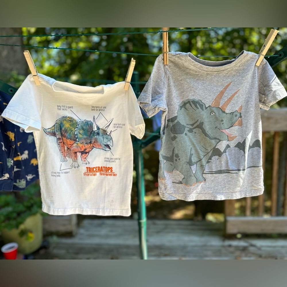 Carter’s Triceratops Tee Set 3T